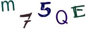 圖片的 CAPTCHA